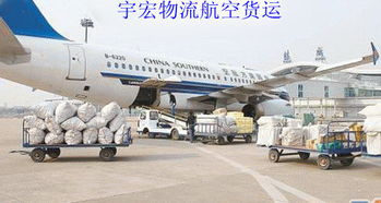 一、新桥航空物流货物运输服务概述