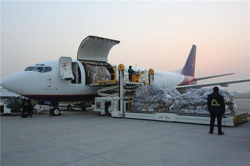 航空冷链技术突破鲜花运输壁垒