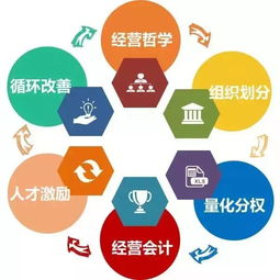 新桥航空快运加急服务的核心优势解析