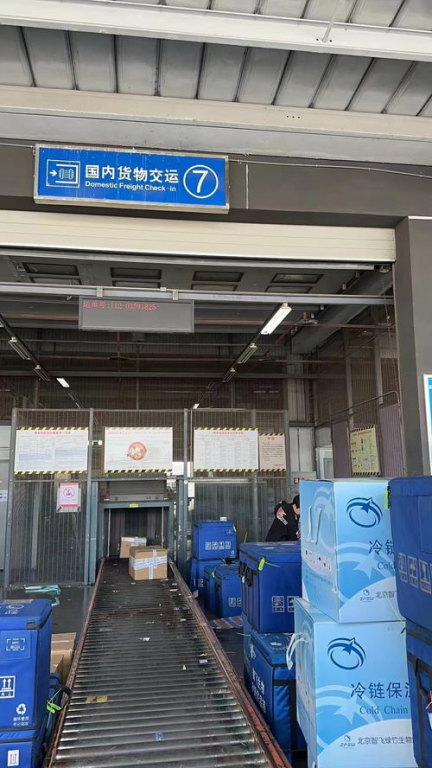 航空快运当日达服务的核心优势