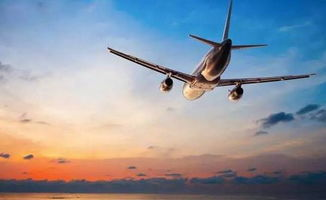 航空货运新革命:新桥当日达的四大服务支柱