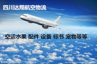 一、成都空运特急的核心竞争力