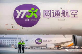双机场格局下的航空物流新基建