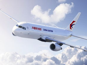 一、选择合适的航空公司和货运服务