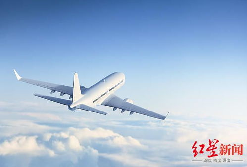 一、双流航空公司寄货服务简介