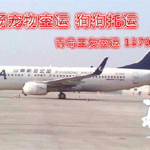 一、双流航空机场空运能力概述
