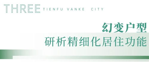 北京特快当日达服务,速度与质量的完美结合
