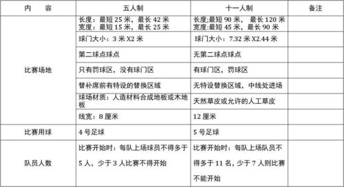国际足联官方参赛标准解析