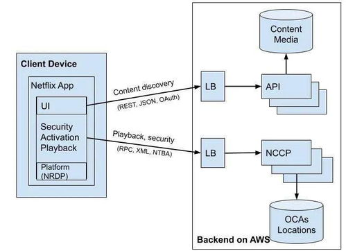 南美区预选赛基本架构解析