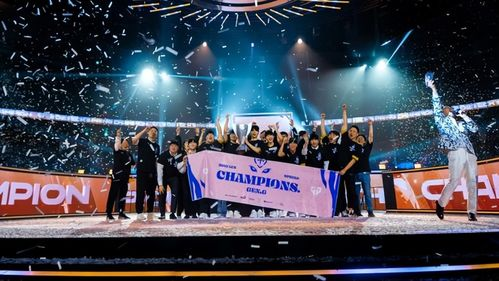 亚洲区预选赛赛制深度剖析