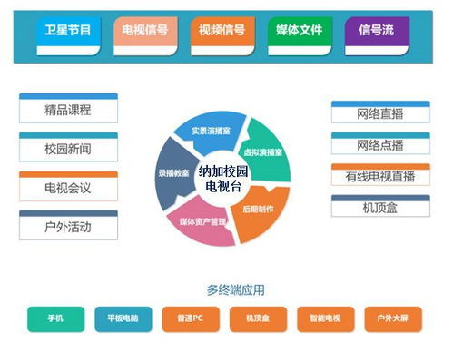 电视台转播体系深度解析