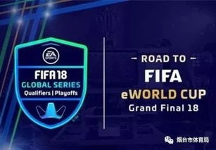 一、国际足联官方转播渠道确认