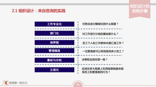 欧洲区预选赛基础架构与分组机制