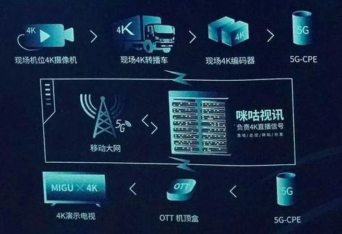 全球赛事直播平台对比分析