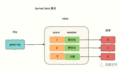 一、赛事规格与选拔机制深度解读