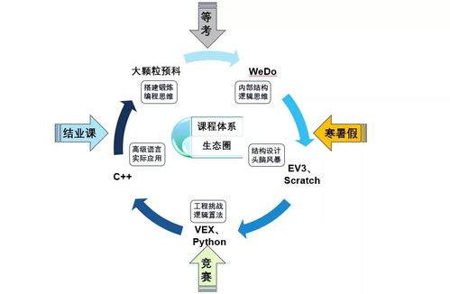 全球预选赛体系与转播权分布解析