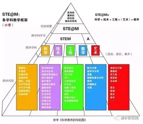 全球预选赛体系革新解析