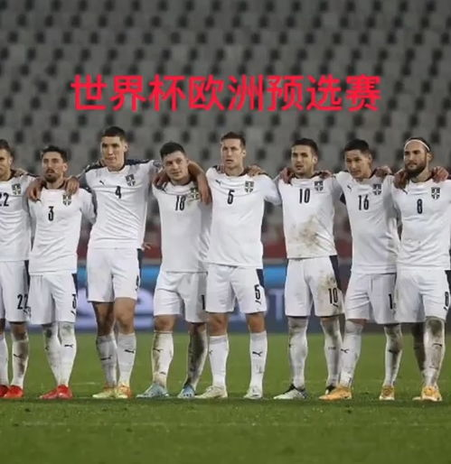 世界杯预选赛直播足球五大官方平台