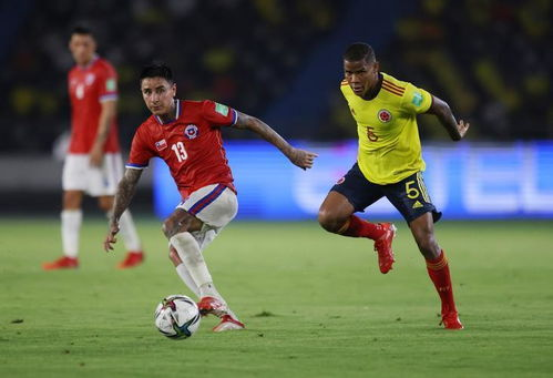 南美区世预赛赛制特点