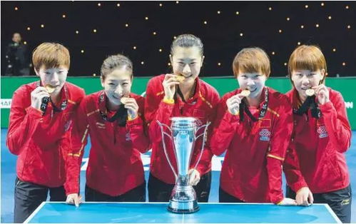 男子单打世界杯冠军图谱（1980-2023）