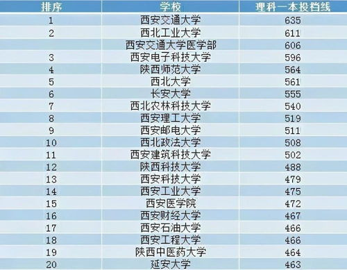 当前实力与国际排名的现实考量