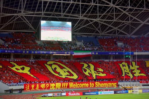 中国男足主场场地战略部署