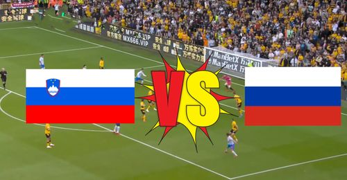 世界杯预选赛赛事全解析