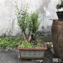 一、2024年乒乓球世界杯预选赛赛程表最新动态