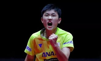 乒乓球世界杯官网的五大核心功能解析