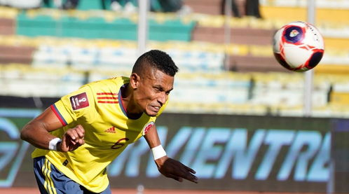 南美区世预赛赛制解析