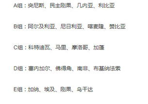 非洲区预选赛的赛制特点