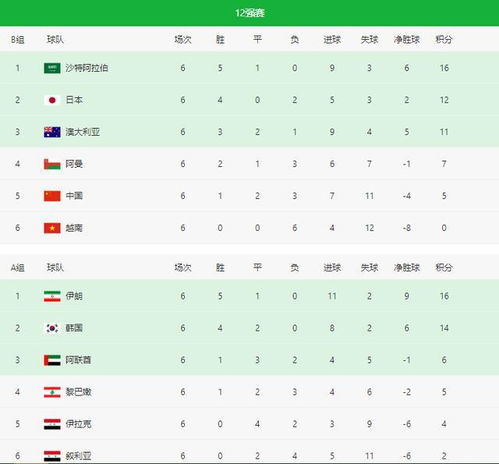 中国男足预选赛完整赛程解析