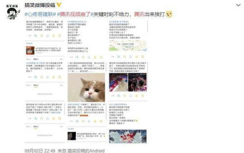 关键赛事时间表与直播平台