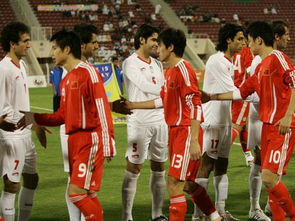 中澳世预赛交锋历史回顾