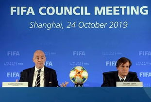 国际足联改革背景下的欧洲区名额分配