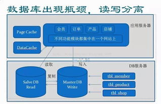 全球赛区格局演变与积分体系
