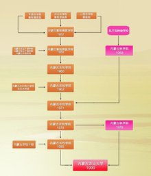 央视世预赛转播历史沿革与技术升级