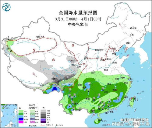 亚洲区预选赛阶段划分解析
