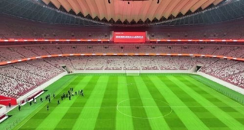 一、龙兴足球场赛事承办优势解析