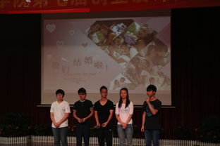 赛事背景与参赛队伍解析