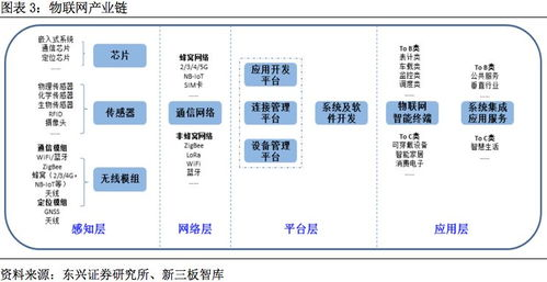 国际转播权分配与平台选择
