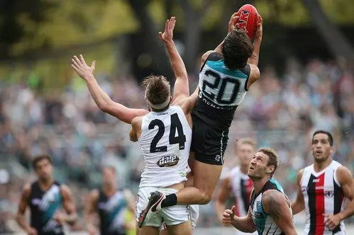 中澳足球对抗史：从惨败到抗衡的二十年演变