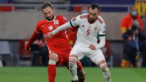 一、欧洲区预选赛基本框架与参赛规模