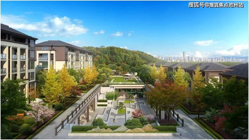 一、官方赛事直播平台权威解析