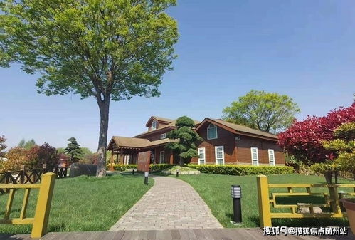 预选赛积分体系的核心价值解析