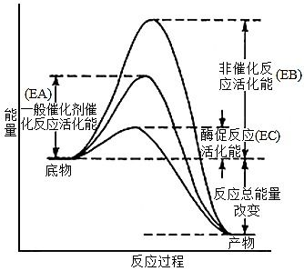 预选赛征程中的积分波动曲线