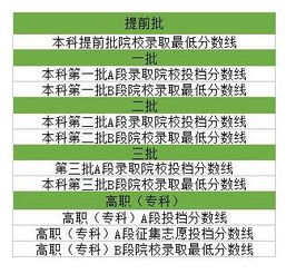 一、预选赛核心时间节点解析