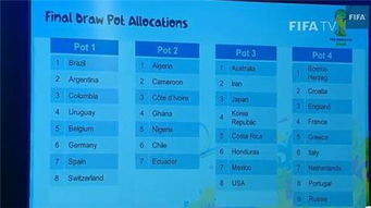 抽签流程与分档原则