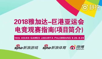 赛事背景与观赛指南