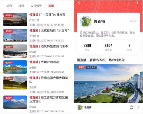 主流电视与新媒体直播平台